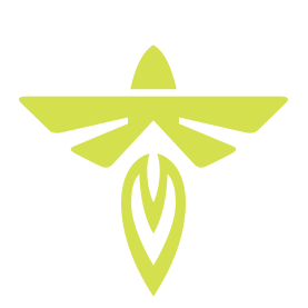 FLY